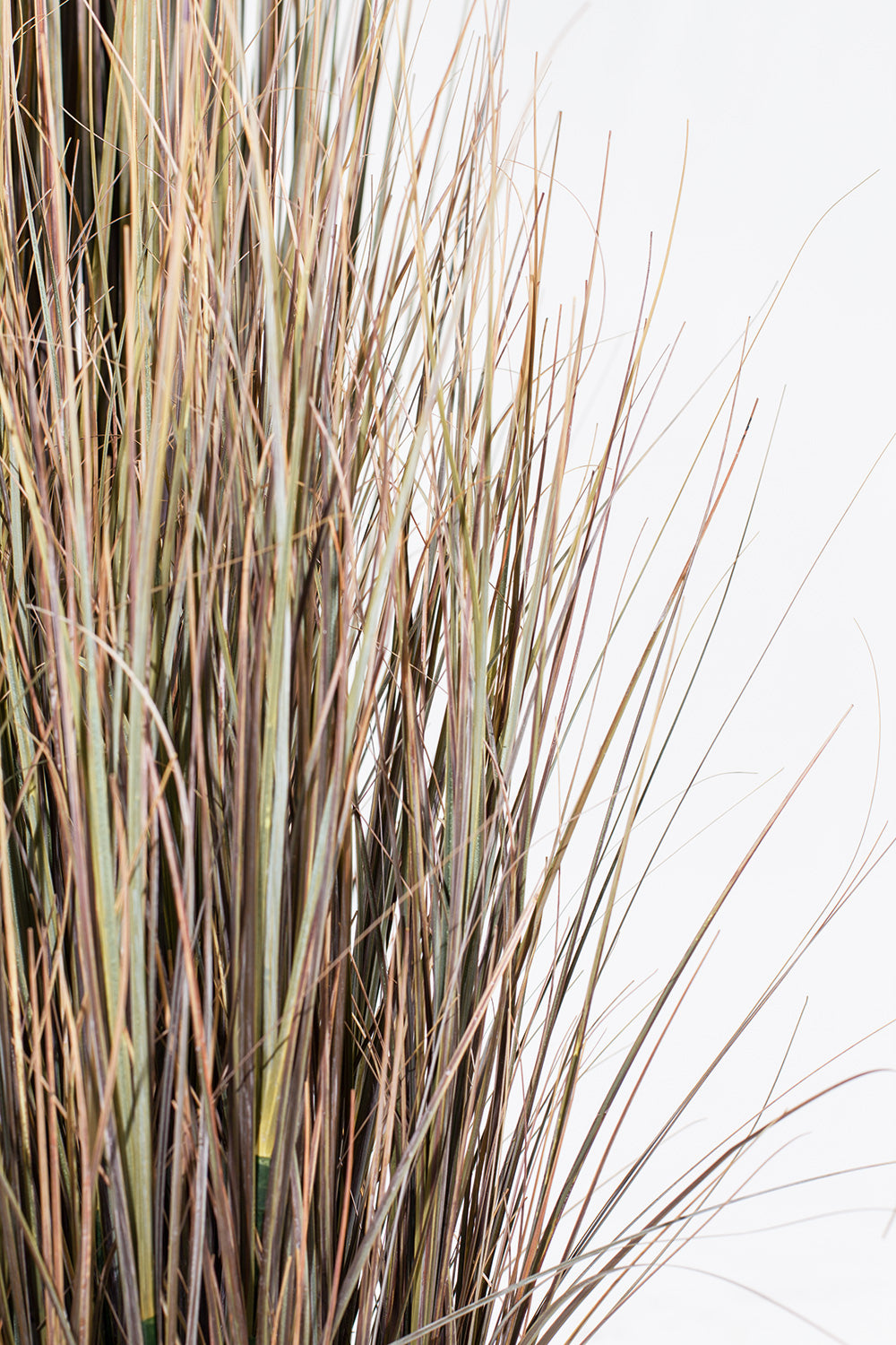 Zwiebelgras - Kunstpflanze