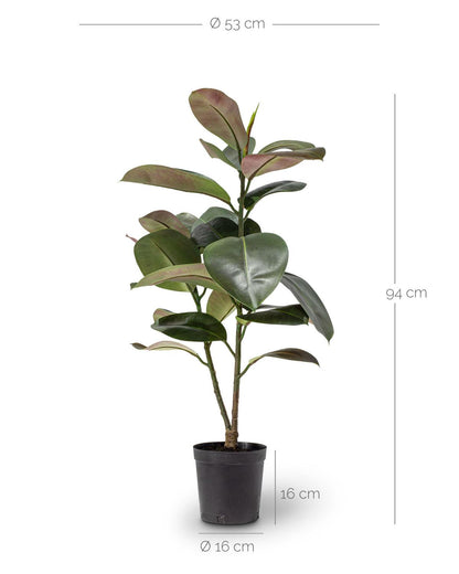 Gummibaum Ficus - Kunstpflanze
