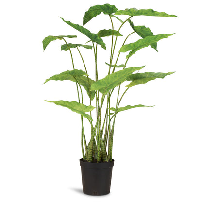 Zebra Elefantenohr - Kunstpflanze