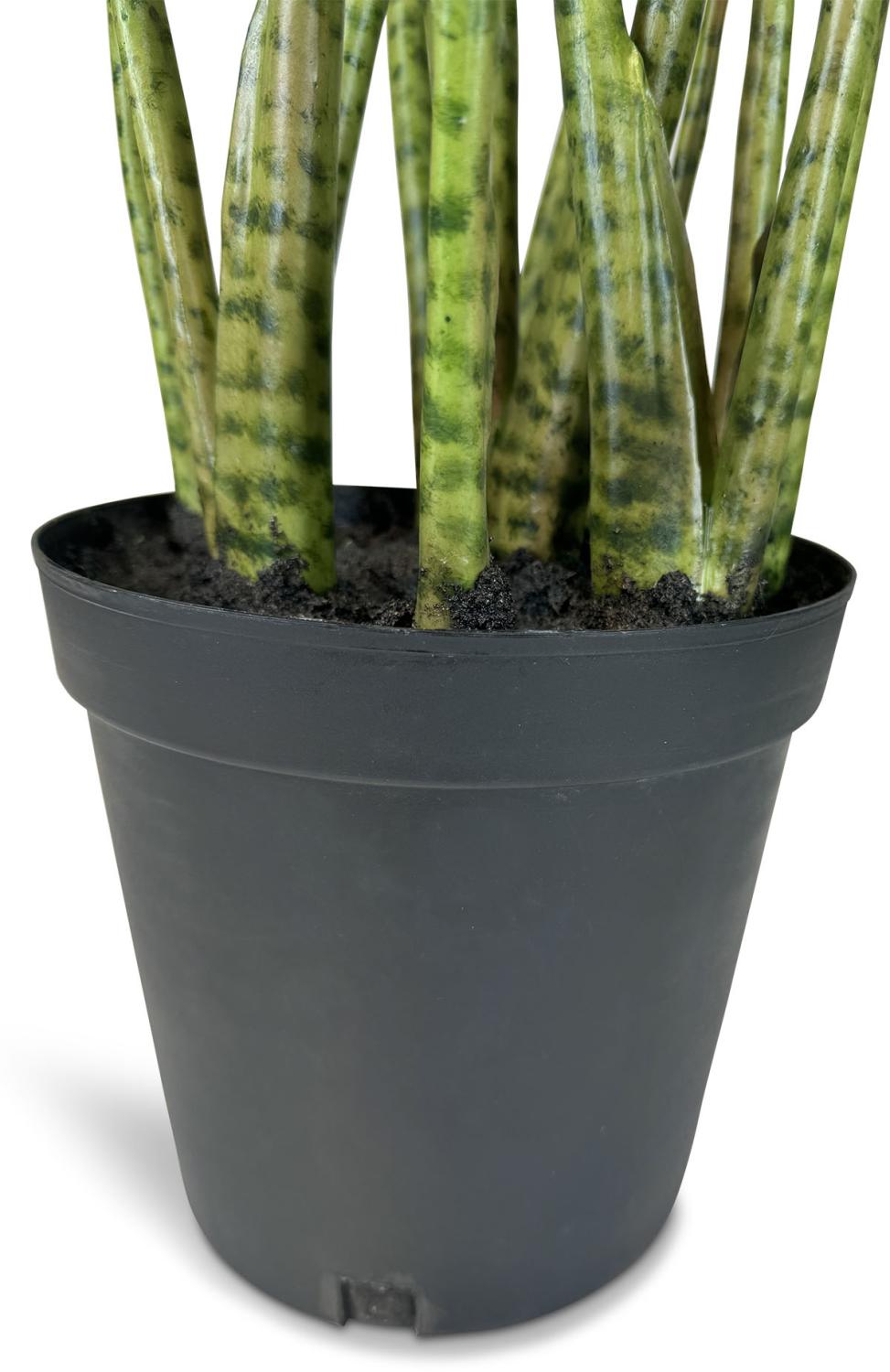 Zebra Elefantenohr - Kunstpflanze