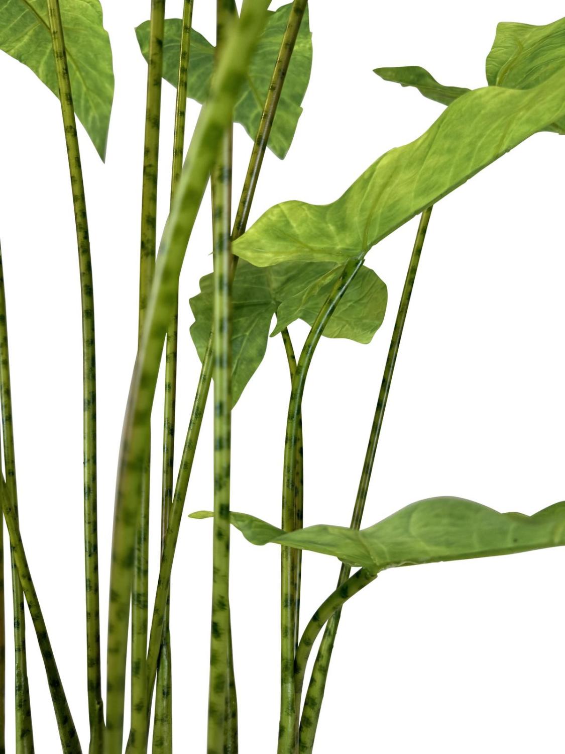 Zebra Elefantenohr - Kunstpflanze