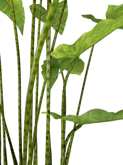 Zebra Elefantenohr - Kunstpflanze