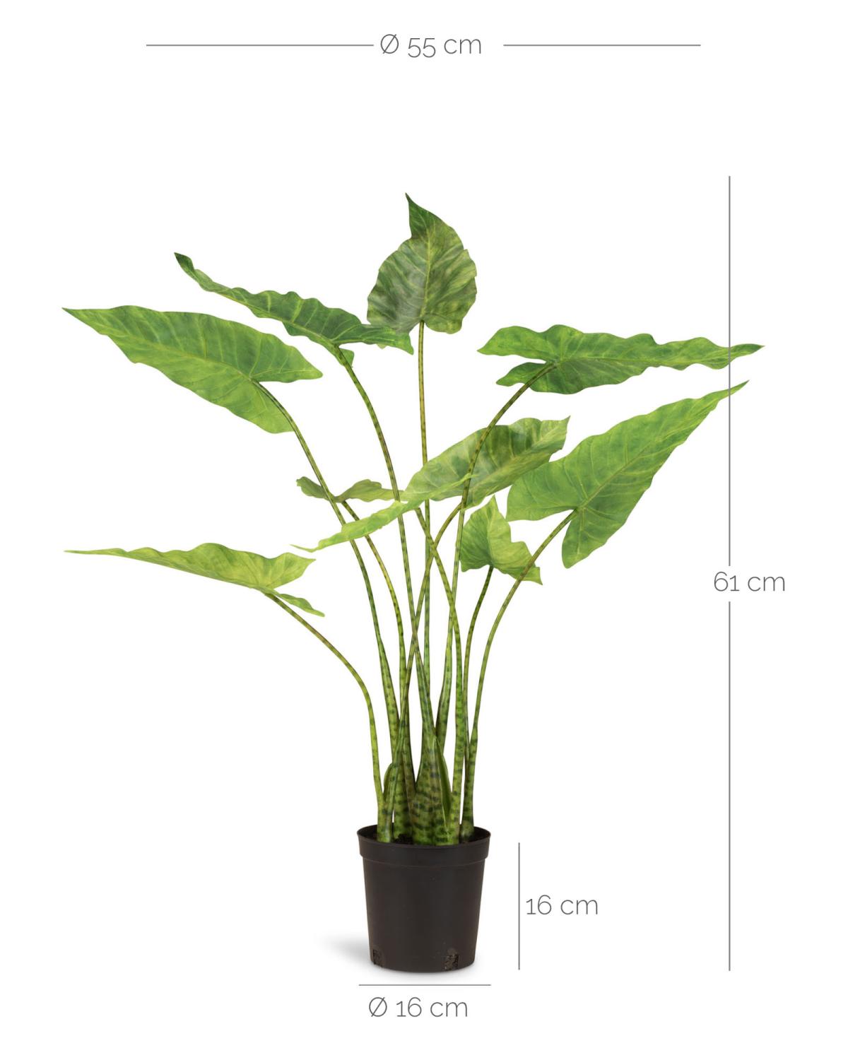 Zebra Elefantenohr - Kunstpflanze