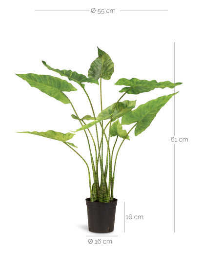 Zebra Elefantenohr - Kunstpflanze