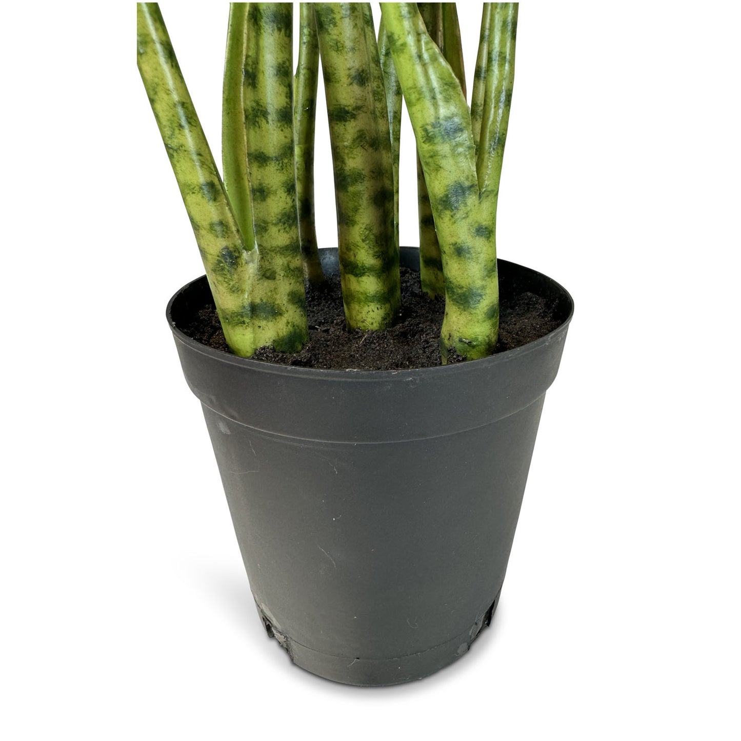 Zebra Elefantenohr - Kunstpflanze