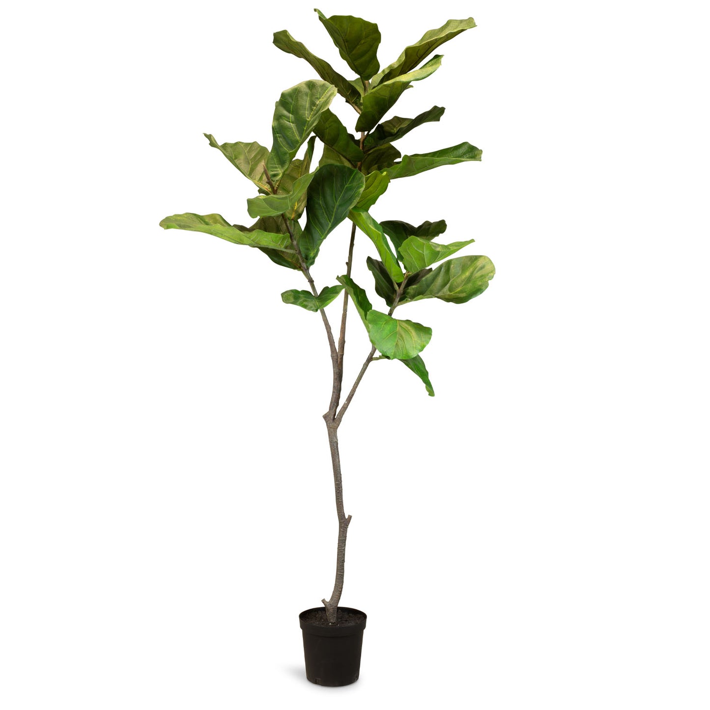 Geigenfeigenbaum Ficus - Kunstpflanze