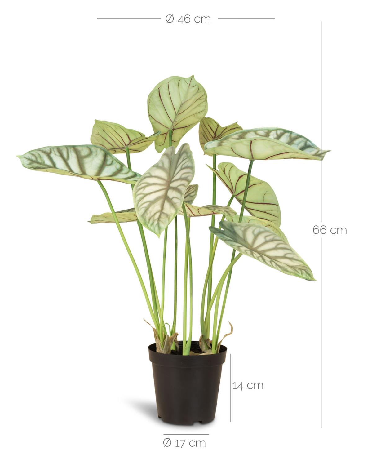 Elefantenohr - Kunstpflanze