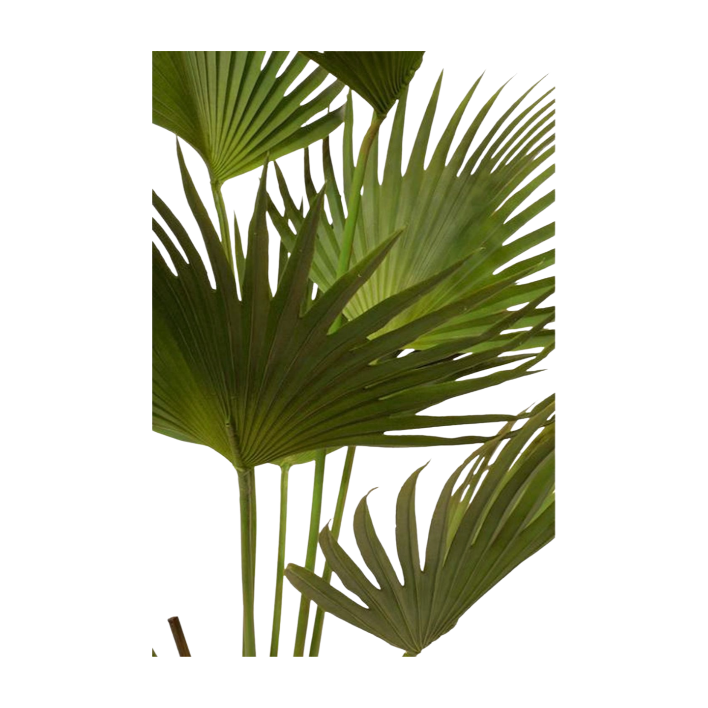 Fächerpalme - Kunstpflanze