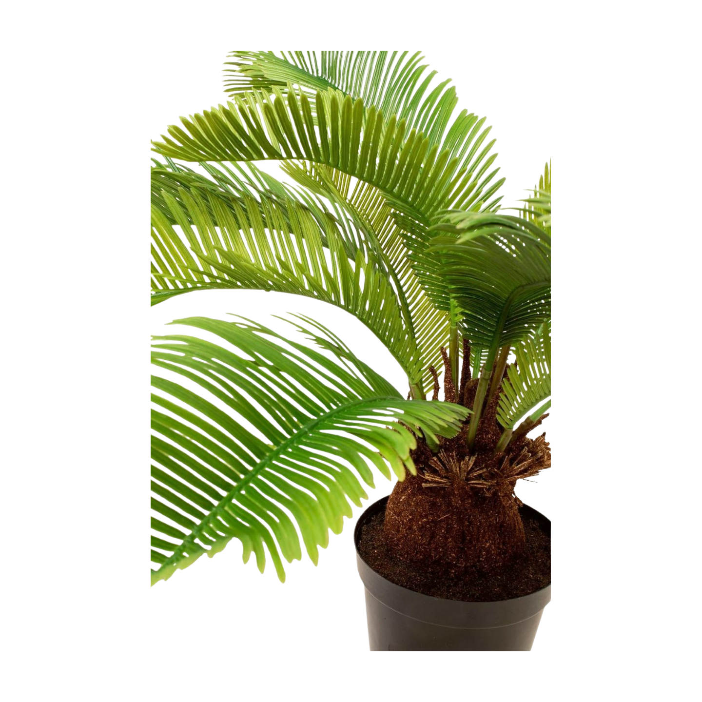 Palmfarn - Kunstpflanze