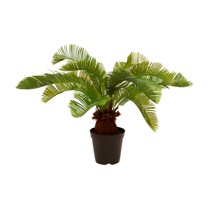 Palmfarn - Kunstpflanze