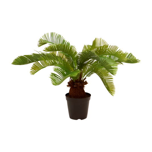 Palmfarn - Kunstpflanze